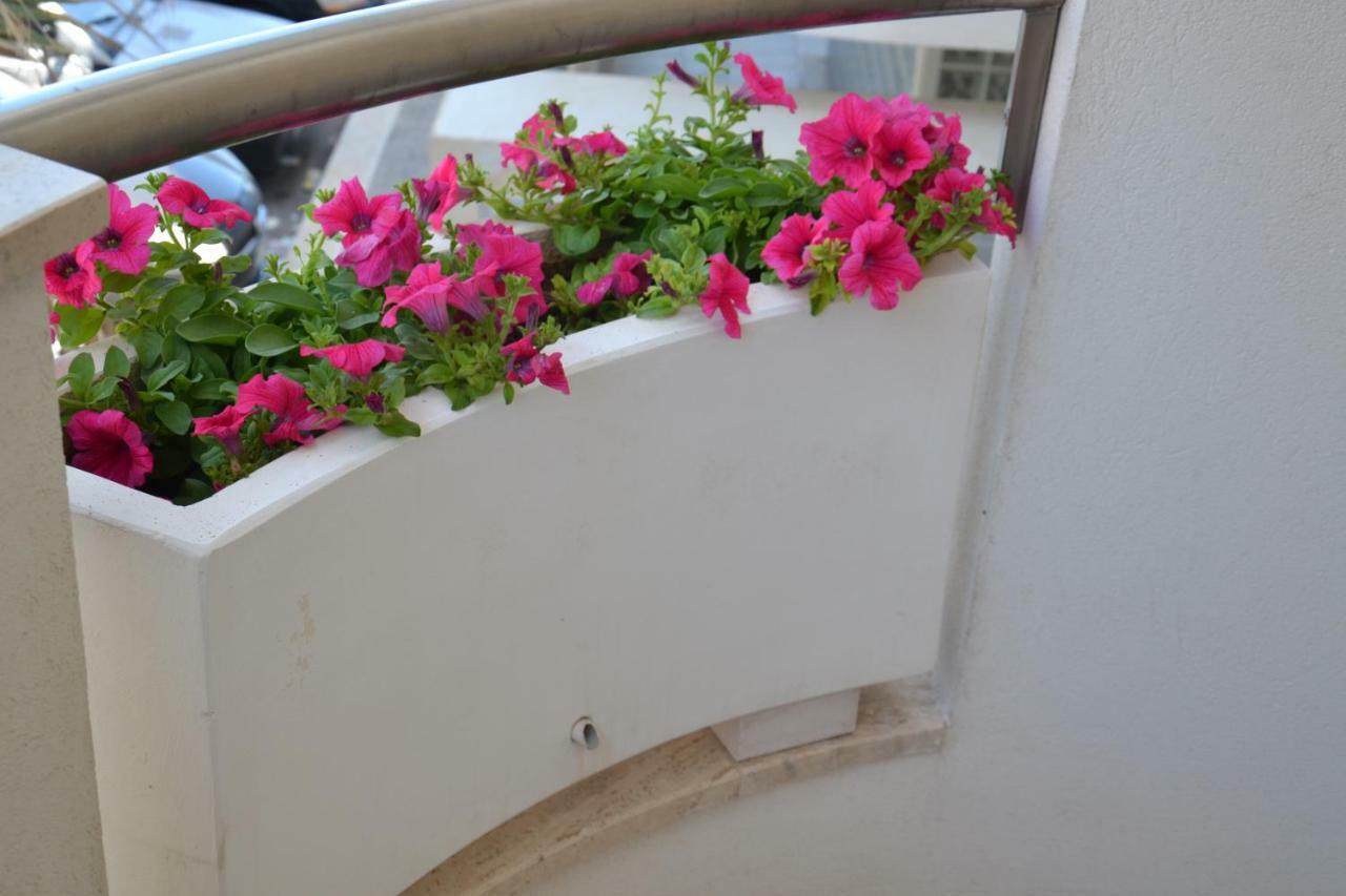 Porto Nuovo Holiday Home 모노폴리 외부 사진